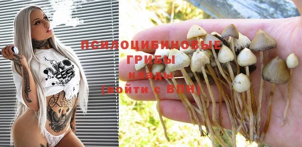 прущий лед Белоозёрский